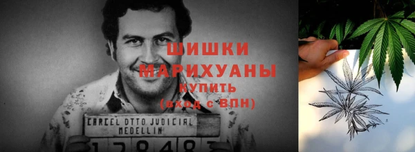 стафф Дмитров
