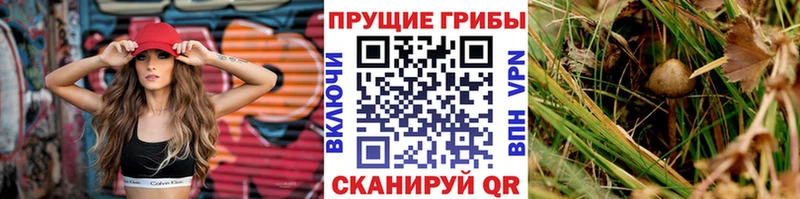 Галлюциногенные грибы прущие грибы  Купить где  Кушва 